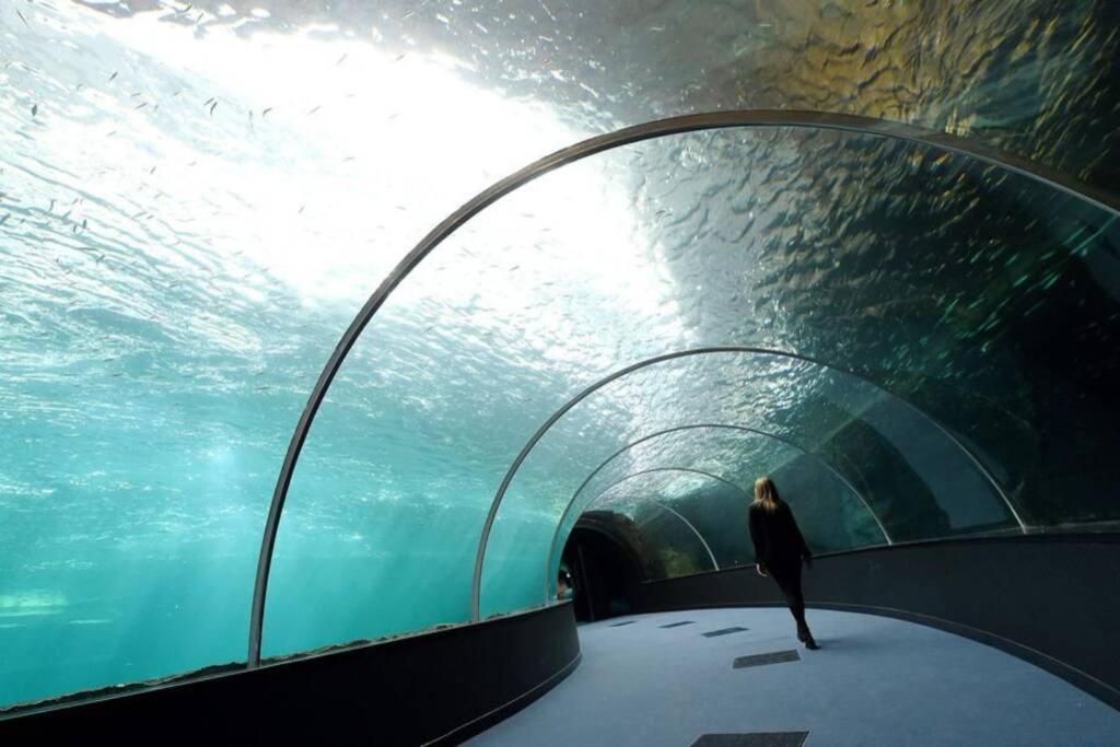 La Perle Marine :Boulogne Sur Mer Exteriör bild